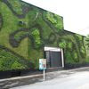 Muros verdes